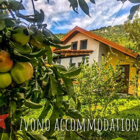 Guesthouse Zvono Плужине Экстерьер фото